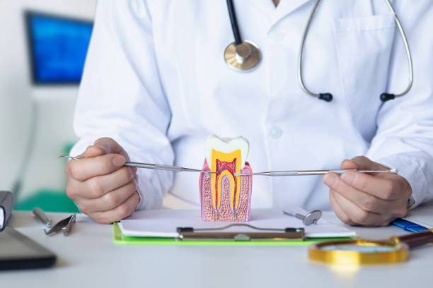 Best Chipped Tooth Repair Near Me  in Desert Palms, CA
